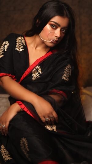 Noir Elegance Net Saree