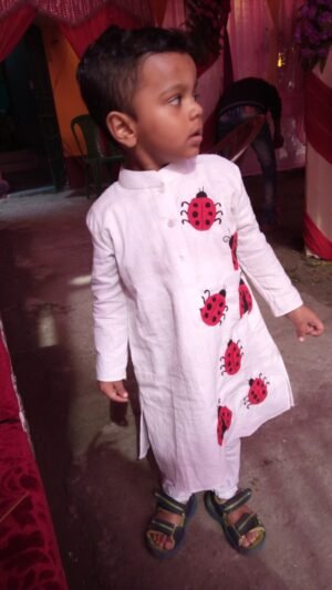 Ladybug Kurta / Ladybug Punjabi for Kids