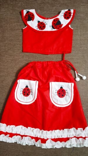 Ladybug Skirt Top