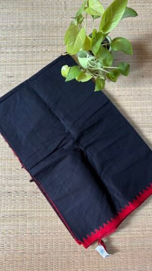 Black Begumpuri Saree